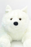 Giant Arctic Wolf